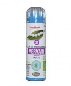 Vervain (31) ALCOHOL FREE